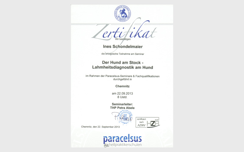 Der Hund am Stock Lahmheitsdiagnostik am Hund